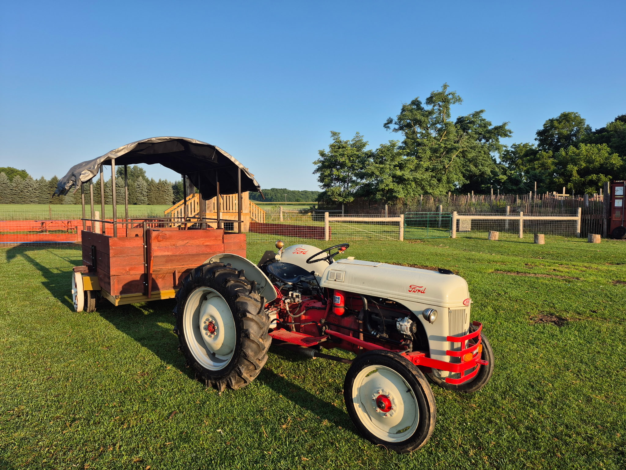 Bajuk's Wagon Rides